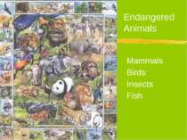 "Endangered Animals"