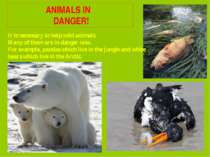 ANIMALS IN DANGER! It is necessary to help wild animals. Many of them are in ...