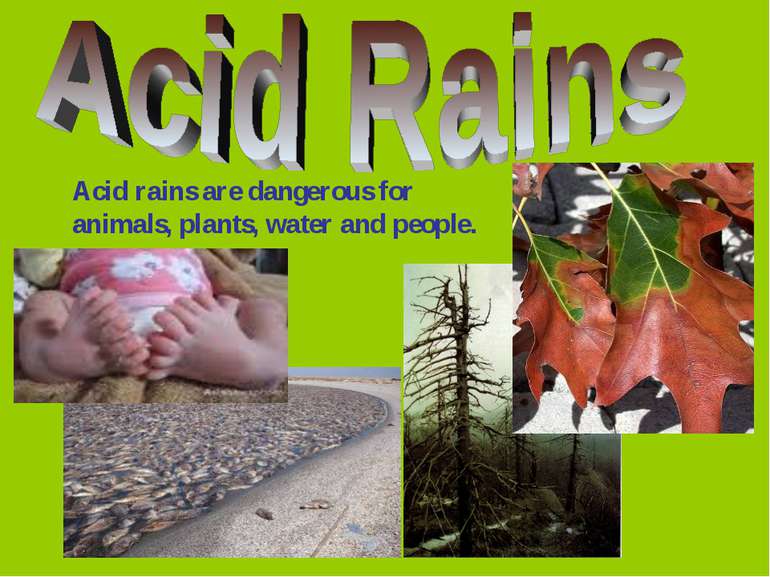 Acid rains are dangerous for animals, plants, water and people.