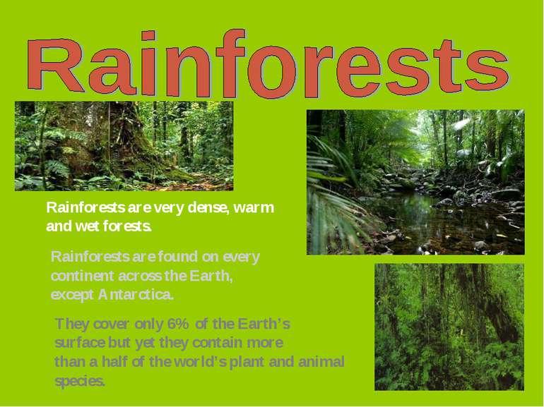 Rainforests are very dense, warm and wet forests. Rainforests are found on ev...