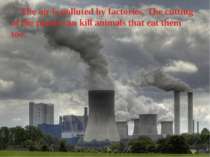 The air is polluted by factories. The cutting of the plants can kill animals ...