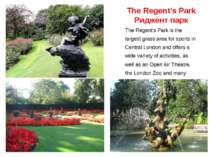 The Regent’s Park Риджент парк The Regent's Park is the largest grass area fo...