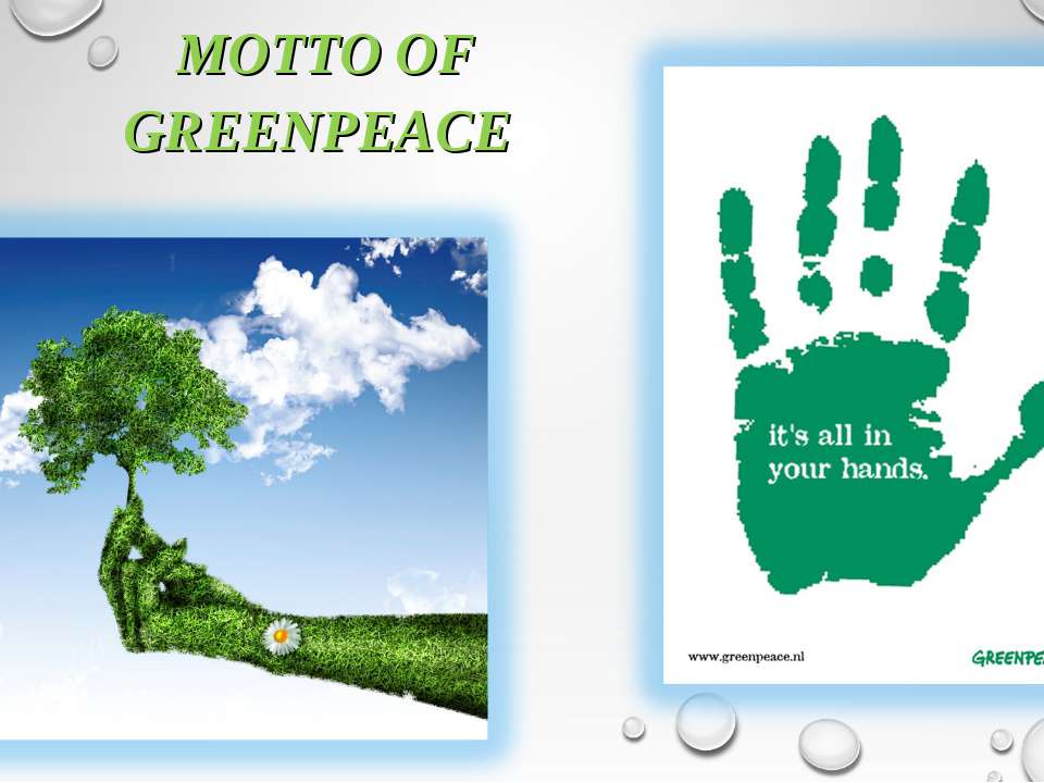 3 greenpeace