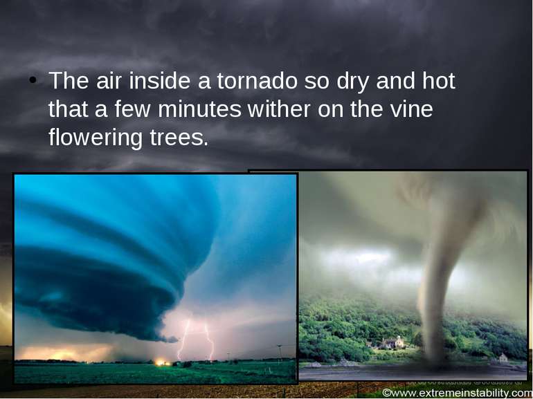 The air inside a tornado so dry and hot that a few minutes wither on the vine...