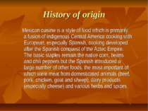 History of origin Mexican cuisine is a style of food which is primarily a fus...