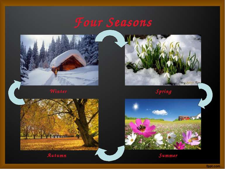 Four Seasons Winter Spring Autumn Summer