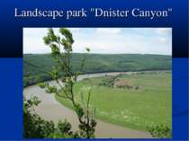 Landscape park "Dnister Canyon"