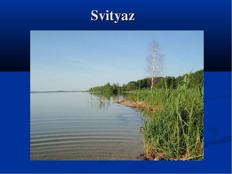 Svityaz 