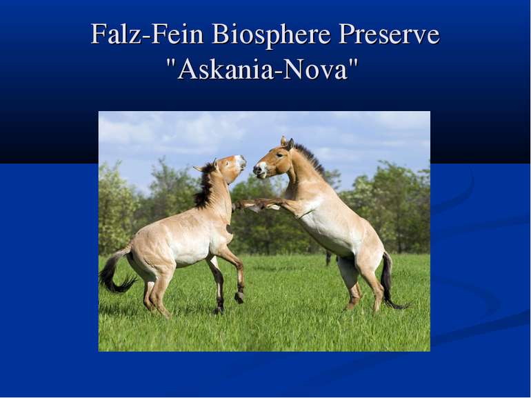 Falz-Fein Biosphere Preserve "Askania-Nova"