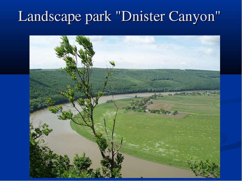 Landscape park "Dnister Canyon"