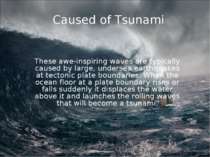 Caused of Tsunami These awe-inspiring waves are typically caused by large, un...