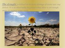 The drought is defined as an acute shortage of water and crop failure. It is ...