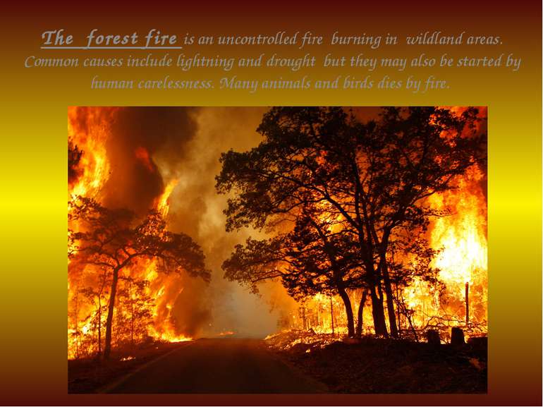The forest fire is an uncontrolled fire burning in wildland areas. Common cau...