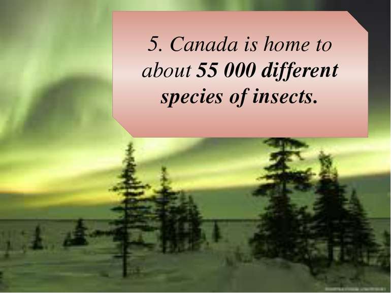 5. Canada is home to about 55 000 different species of insects.