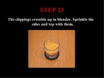 STEP 23 The clippings crumble up in blender. Sprinkle the sides and top with ...