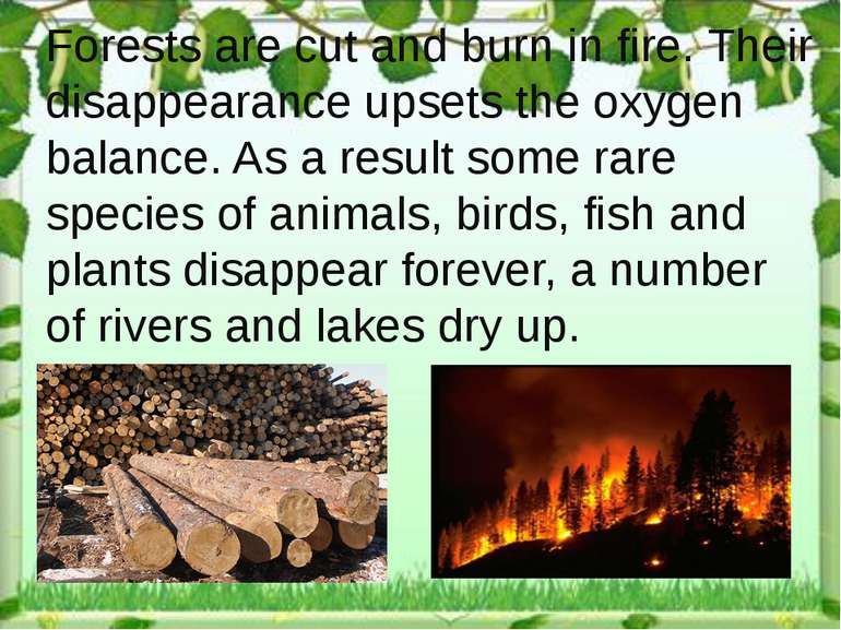 Forests are cut and burn in fire. Their disappearance upsets the oxygen balan...