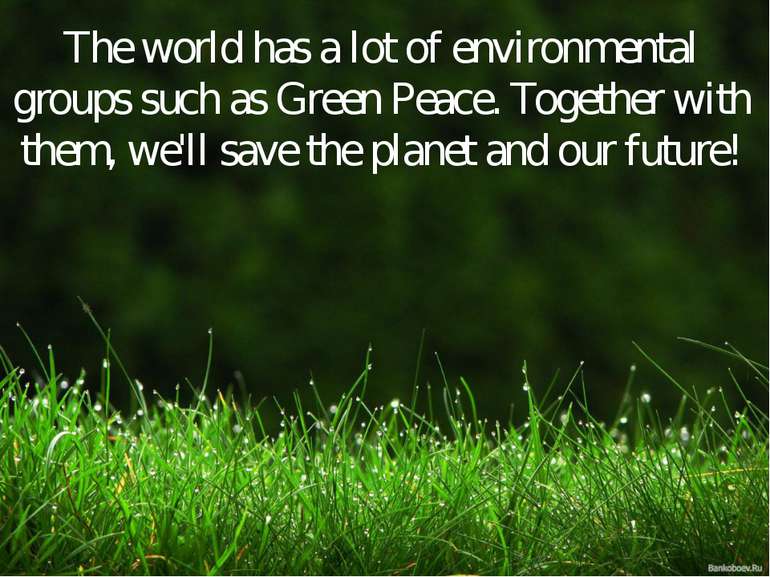 The world has a lot of environmental groups such as Green Peace. Together wit...