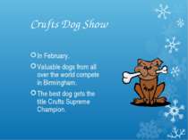 Crufts Dog Show In February. Valuable dogs from all over the world compete in...