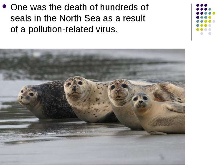 One was the death of hundreds of seals in the North Sea as a result of a poll...