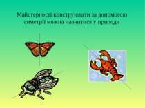 Майстерності конструювати за допомогою симетрії можна навчитися у природи