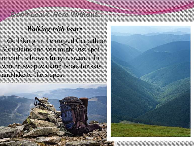 Don't Leave Here Without... Walking with bears Go hiking in the rugged Carpat...