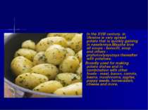 In the XVIII century. in Ukraine is very spread potato that is quickly gainin...