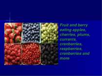 Fruit and berry eating apples, cherries, plums, currants, cranberries, raspbe...