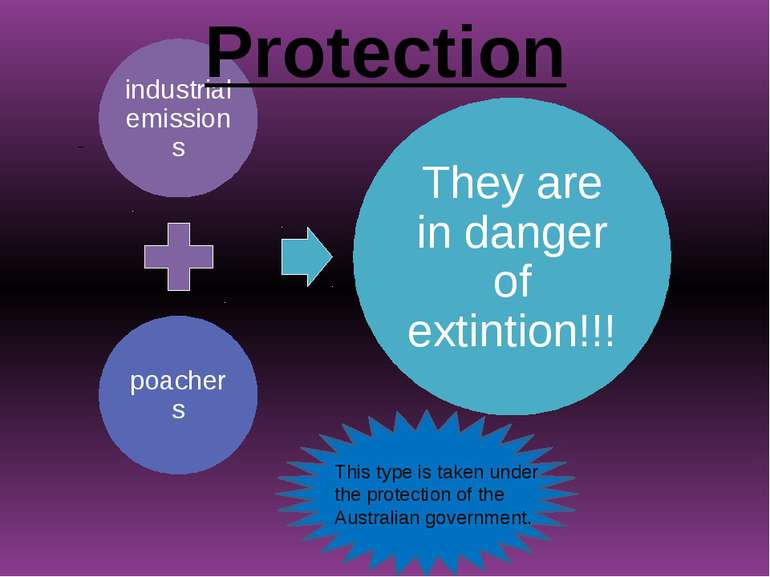 Protection This type is taken under the protection of the Australian government.