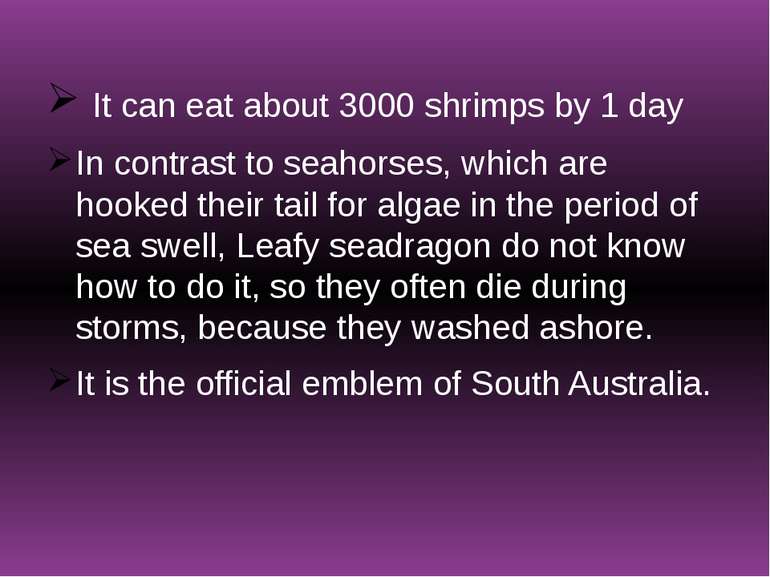 It can eat about 3000 shrimps by 1 day In contrast to seahorses, which are ho...