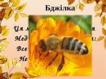 Бджілка Ця маленька трудівниця Мед збирає як годиться: Все у вулик, все у сот...