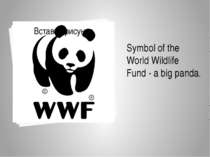 Symbol of the World Wildlife Fund - a big panda.