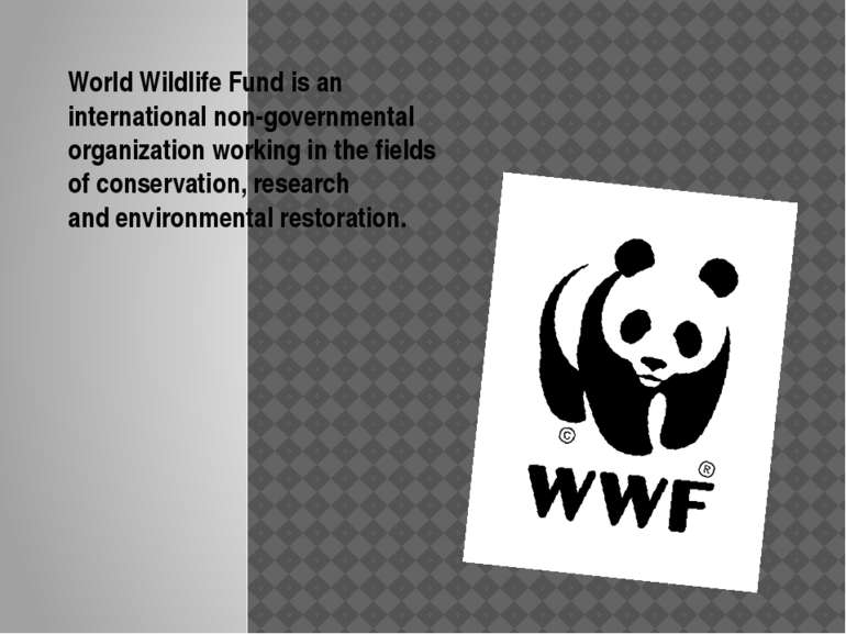 World Wildlife Fund is an international non-governmental organization working...