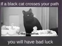If a black cat crosses your path you will have bad luck
