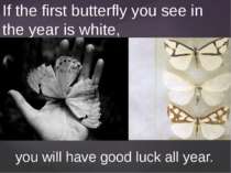 If the first butterfly you see in the year is white, you will have good luck ...