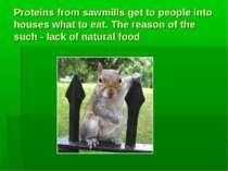 Proteins from sawmills get to people into houses what to eat. The reason of t...