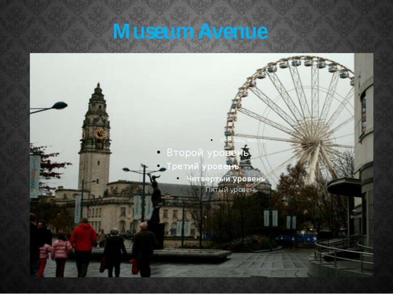 Museum Avenue