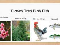Flower/ Tree/ Bird/ Fish Peach blossom American Holly Blue hen chicken Weakfish