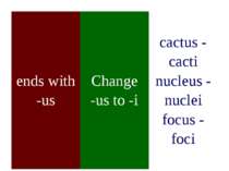 ends with -us Change -us to -i cactus - cacti nucleus - nuclei focus - foci