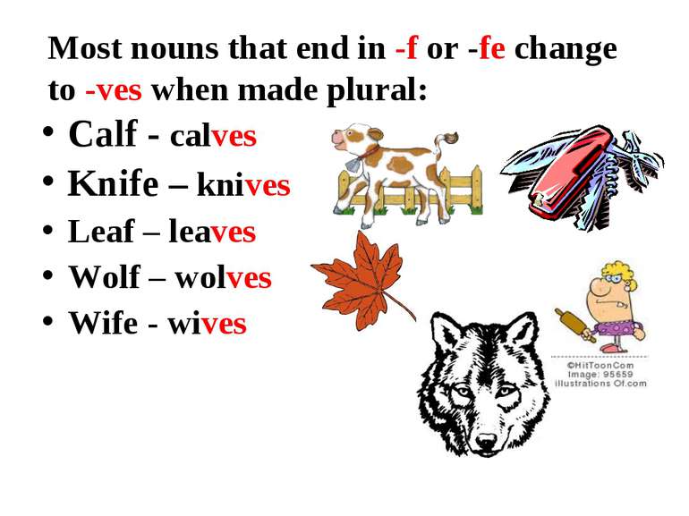 Most nouns that end in -f or -fe change to -ves when made plural: Calf - calv...