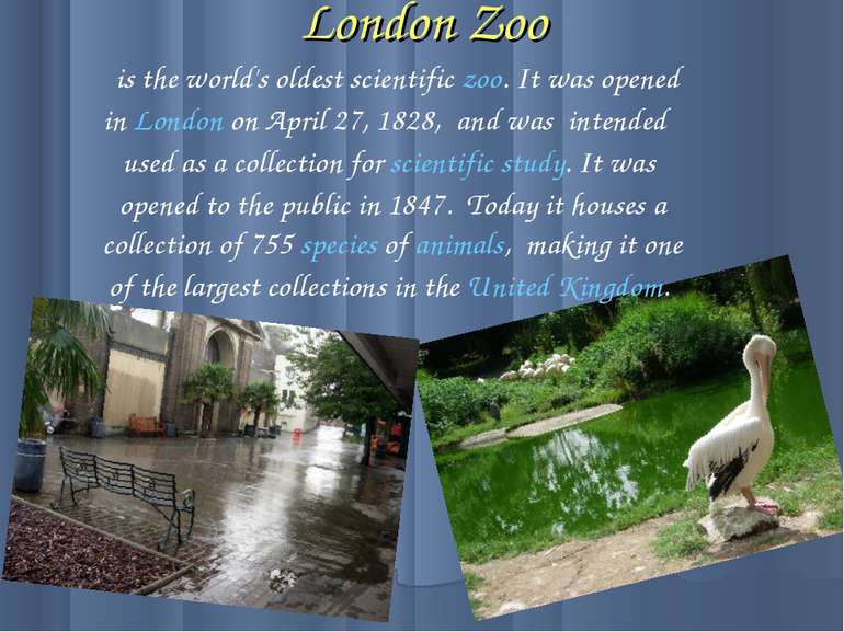 London Zoo is the world's oldest scientific zoo. It was opened in London on A...