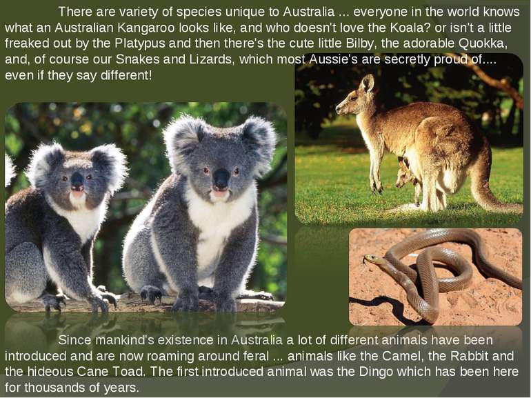 There are variety of species unique to Australia ... everyone in the world kn...