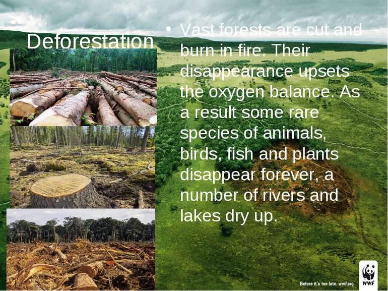 Deforestation Vast forests are cut and burn in fire. Their disappearance upse...