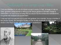 Biddulph Grange Gardens Cook was interested in not only the stones but also t...