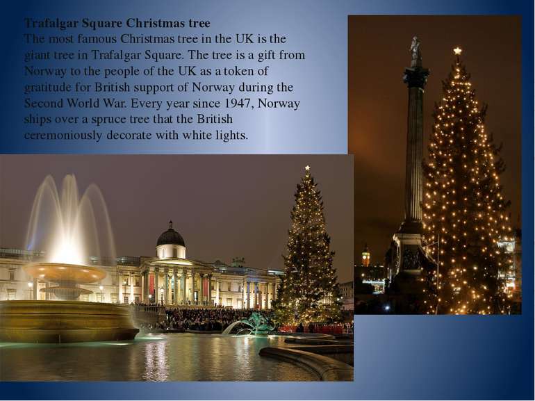Trafalgar Square Christmas tree The most famous Christmas tree in the UK is t...