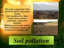 The main component of the Earth biosphere represents topsoil. Soil is pollute...