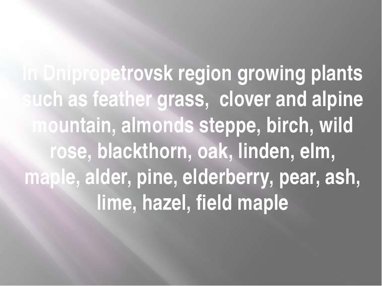 In Dnipropetrovsk region growing plants such as feather grass, clover and alp...