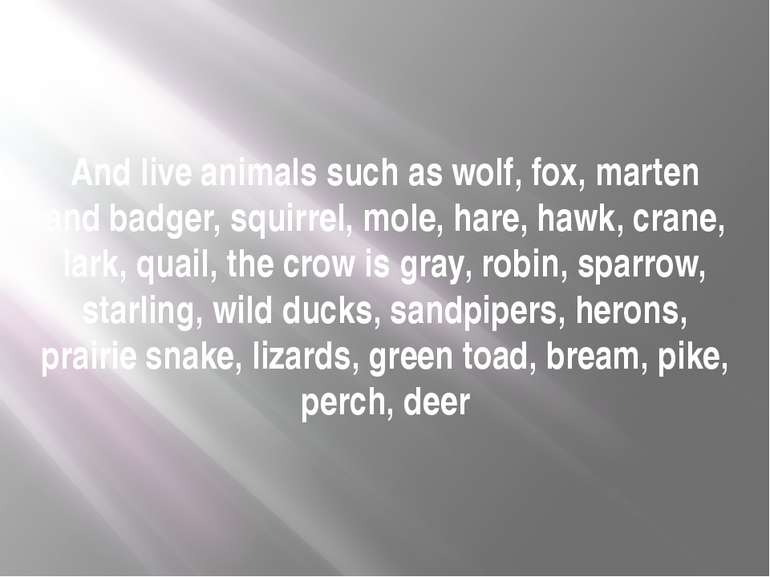 And live animals such as wolf, fox, marten and badger, squirrel, mole, hare, ...