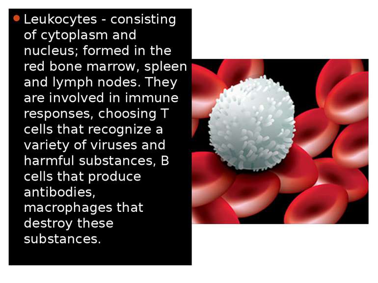 Leukocytes - consisting of cytoplasm and nucleus; formed in the red bone marr...