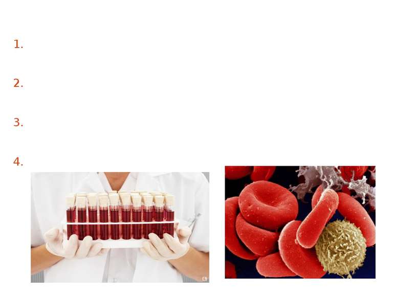 There are four blood types: no agglutinogens and agglutinins from both - (0) ...