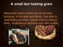 A small but healing grain Maya and Aztecs drank cocoa not only because of its...